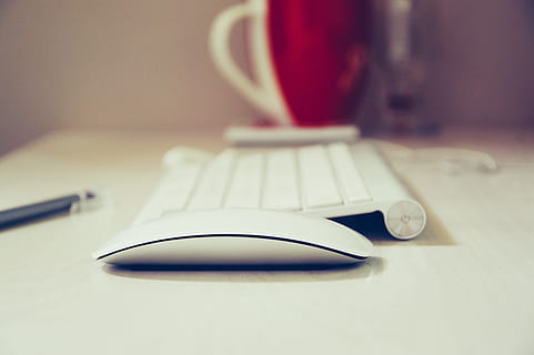 shallow, focus photography, apple magic mouse, wireless, keyboard, shallow focus, photography, apple wireless keyboard, computer, mouse, technology, internet, white, business, office, click, device, cable, input, work, optical, equipment, pc, scroll, pointer, connection, button, communication, hardware, desktop, web, working, accessory, electronics, table, indoors, desk, wireless technology, no people, focus on foreground, computer equipment, close-up, computer mouse, still life, selective focus, glasses, computer keyboard, furniture, computer network, personal accessory, 5K, CC0, public domain, royalty free