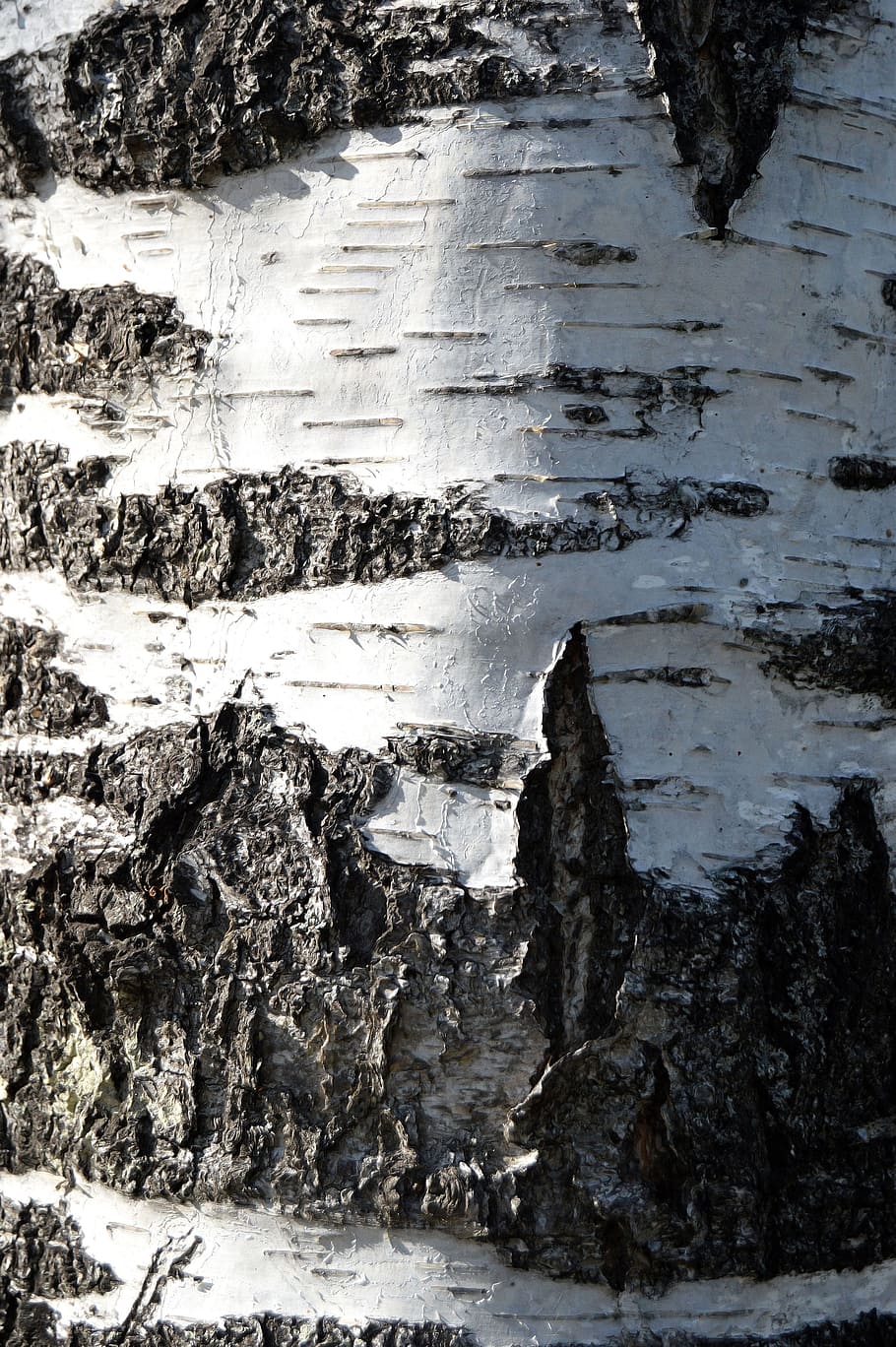 braun, Holzplatte, tagsüber, braunes Holz, Birke, Borke, Dänemark, Baum, Wald, Natur, Textur, Kofferraum, Holz, keine Leute, Wasser, Tag, draußen, Nahansicht, Schönheit in der Natur, Bewegung, Land, kalte Temperatur, Winter, Rock, Schnee, Umgebung, Szenen - Natur, Ruhe, fließendes Wasser, Fernbedienung, Fluss, fließend, Kraft in der Natur, 4K