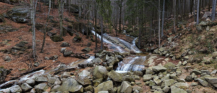 strøm, jizera bjerge, vand, udendørs, ingen mennesker, dag, natur, klippe, træ, rock-objekt, solid, jord, Skov, skønhed i naturen, scenics - natur, plante, ikke-urbane scene, flod, ro, miljø, rolig scene, flydende vand, strøm - rindende vand, flyder, 1080P, CC0, offentligt domæne, royaltyfrie