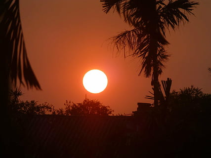 sole, arancia, tramonto, luce, splendore, luce del sole, rosso, bellezza naturale, natura, silhouette, albero, Palma, colore arancione, crepuscolo, cielo, clima tropicale, bellezza nella natura, pianta, scenics - natura, scena tranquilla, la tranquillità, idilliaco, nessuno, crescita, all'aperto, cerchio, Luna piena, cielo romantico, foglia di palma, 1080P, CC0, dominio pubblico, privo di copyright