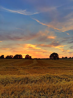 solnedgang, skyer, sol, landskab, himmel, aften, orange, sollys, horisont, himlen skyer, skumring, natur, landlige scene, landbrug, Mark, udendørs, sommer, gård, scenics, sky - himmel, gul, eng, ikke-urbane scene, skønhed i naturen, sæson, cloudscape, blå, solopgang - daggry, græs, træ, ingen mennesker, ro, rolig scene, miljø, jord, scenics - natur, plante, vækst, 4K, CC0, offentligt domæne, royaltyfrie