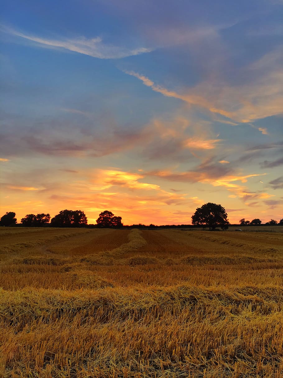 solnedgang, skyer, sol, landskab, himmel, aften, orange, sollys, horisont, himlen skyer, skumring, natur, landlige scene, landbrug, Mark, udendørs, sommer, gård, scenics, sky - himmel, gul, eng, ikke-urbane scene, skønhed i naturen, sæson, cloudscape, blå, solopgang - daggry, græs, træ, ingen mennesker, ro, rolig scene, miljø, jord, scenics - natur, plante, vækst, 4K