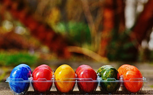 ous de colors assortits, safata, Pasqua, ous de Pasqua, colorit, Feliç Pasqua, ou, de colors, color, menjar, multicolor, menjar i beguda, centrar-se en primer pla, alimentació saludable, frescor, fruita, cap gent, elecció, vegetals, primer pla, benestar, en fila, grup d'objectes, gran grup d'objectes, variació, vermell, ordre, natura morta, costat a costat, a l'aire lliure, madur, 5K, CC0, domini públic, lliure de regalies