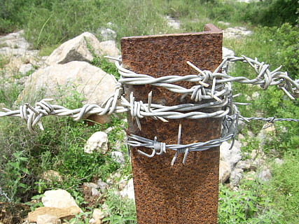 barbed, wire, galvanized, pole, rusty, metal, iron, security, protection, fence, barb, border, boundary, spike, twisted, barricade, plant, nature, no people, day, focus on foreground, tied up, field, close-up, land, outdoors, rope, growth, tree, safety, solid, 1080P, CC0, public domain, royalty free