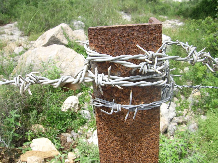 barbada, cable, galvanitzat, pol, rovellat, metall, ferro, seguretat, protecció, tanca, barb, frontera, límit, Espiga, retorçat, barricada, planta, naturalesa, cap gent, dia, centrar-se en primer pla, lligat, camp, primer pla, terra, a l'aire lliure, corda, creixement, arbre, sòlid, 1080P
