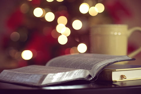 open, book, table, near, ceramic, mug, books, reading, study, learning, education, lights, blurry, bokeh, indoors, christmas, no people, celebration, defocused, close-up, gift, illuminated, day, publication, holiday, night, decoration, christmas tree, selective focus, paper, christmas lights, focus on foreground, religion, tree, 4K
