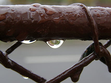 gotas, gotas de lluvia, macro, líquido, lluvia, limpiar, gotita, transparente, pureza, de cerca, al aire libre, soltar, mojado, agua, nadie, día, grueso, centrarse en primer plano, naturaleza, temperatura fría, invierno, gota de agua, carámbano, congelado, hielo, temporada de lluvias, derritiendo, Rocío, 2K, CC0, dominio público, libre de derechos