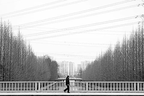 tiltas, vyrai, eik, medis, šalta, defoliacija, juoda ir balta, žmonių, lauke, siluetas, augalų, pobūdį, vienas asmuo, turėklai, architektūra, realūs žmonės, ryšį, dieną, pastatyta struktūra, galinis vaizdas, gyvenimo būdą, dangus, kabelis, barjeras, vaikščioti, elektros energijos, 5K, CC0, Viešasis domenas, nemokamai