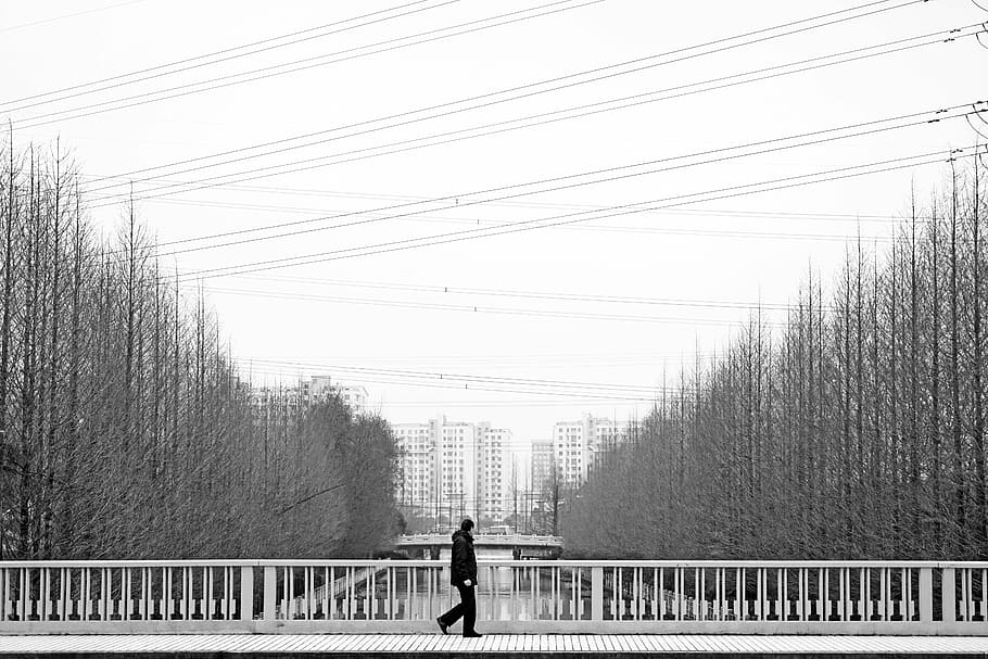 pod, bărbați, merge, copac, rece, desfrunzire, alb-negru, oameni, în aer liber, siluetă, plantă, natură, o persoana, balustradă, arhitectură, oameni adevărați, conexiune, zi, construită, vedere din spate, stiluri de viață, cer, cablu, barieră, mers, electricitate, 5K