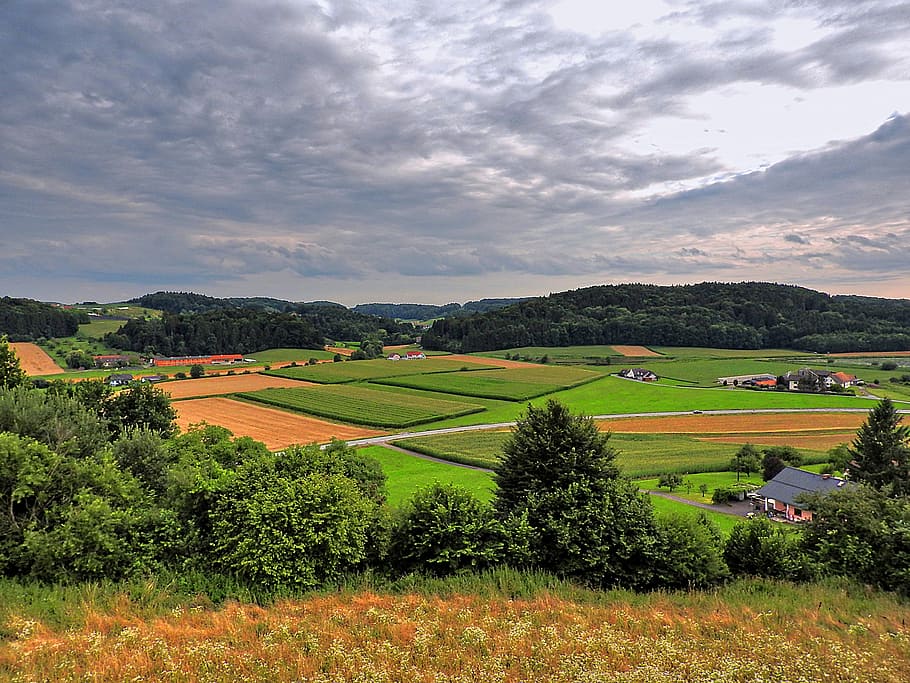 paysage, perspective, vue lointaine, vue, la nature, colline, agriculture, scène rurale, champ, ferme, nuage - ciel, plante, ciel, beauté dans la nature, paysages - nature, scène tranquille, environnement, terre, croissance, arbre, couleur verte, tranquillité, personne, herbe, en plein air, plantation, 4K
