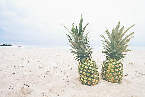 abacaxis, areia, costa, abacaxi, sobremesa, Aperitivo, fruta, suco, colheita, de praia, oceano, mar, ondas, ninguém, natureza, dia, deserto, ao ar livre, frescura, terra, céu, agua, fruta tropical, scenics - natureza, tranquilidade, beleza na natureza, plantar, comida e bebida, cena tranquila, Alimentação saudável, clima árido, 5K, CC0, domínio público, royalty free