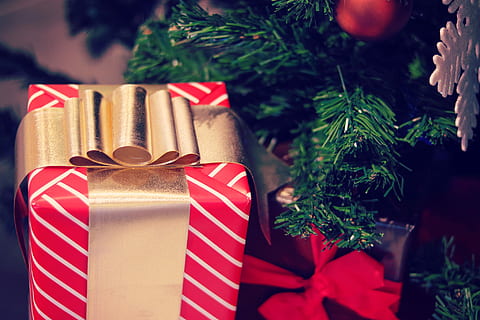 Foto, rot, Geschenkbox, Geschenk, Box, Weihnachtsbaum, Weihnachten, Dekoration, Feier, Urlaub, Baum, Kasten - Behälter, Weihnachtsgeschenk, Winter, Weihnachtsdekoration, Weihnachtsverzierung, Jahreszeit, Band, Geschenkpapier, Kiefer, Ast, Bogen, keine Leute, Band - Nähartikel, gebundener Bogen, Ferienveranstaltung, Nahansicht, drinnen, gestreift, 1080P, CC0, gemeinfrei, lizenzfrei