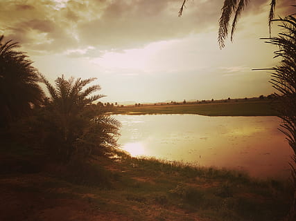 perfect, sunset, time, water, sky, tree, tranquility, plant, tranquil scene, beauty in nature, cloud - sky, scenics - nature, nature, palm tree, reflection, tropical climate, no people, lake, silhouette, land, outdoors, 4K, CC0, public domain, royalty free