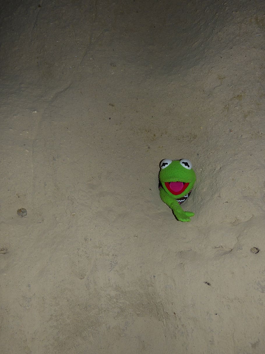 kermit, granota, verd, paret, forat, capturat, pedra, fred, eng, color verd, vista d’angle alt, cap gent, dia, naturalesa, representació, natura morta, joguina, a l'interior, funció de construcció de parets, art i artesania, terra, full, part de la planta, sorra, representació animal, primer pla, marró, creativitat, 4K