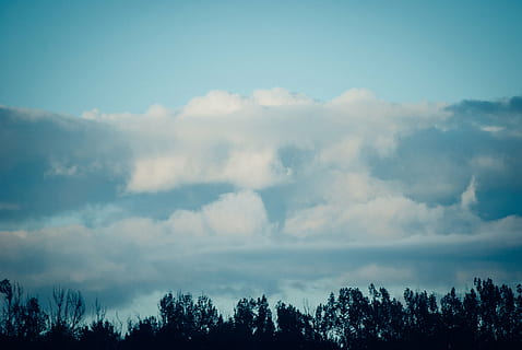matala, kulma-valokuva, pilviä, vihreä, Puut, sininen, taivas, päivä-, puuraja, siluetti,, puu, luonto, pilvi - taivas, ei ihmisiä, kauneus luonnossa, scenics, ulkona, rauhallinen kohtaus, päivä, maisemat - luonto, kasvi, tyyneys, ympäristö, metsä, maa, ei-kaupunkikuvia, maisema, cloudscape, mänty, puunlatva, havupuu, mäntymetsät, 4K, CC0, public domain, rojaltivapaa