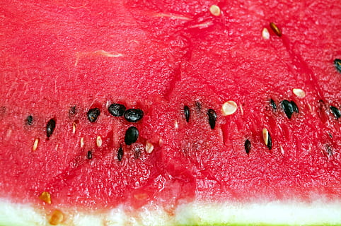 fokussiert, Foto, geschnitten, Wassermelone, Wassermelonenkerne, Melone, Obst, rot, saftig, Kerne, Sektion, Lebensmittel, Frische, Essen und Trinken, gesundes Essen, Nahansicht, Wohlbefinden, Vollbild, keine Leute, Samen, Hintergründe, drinnen, Stillleben, pinke Farbe, Beerenfrucht, Erdbeere, fertig für den Verzehr, Scheibe, reif, Versuchung, 4K, CC0, gemeinfrei, lizenzfrei