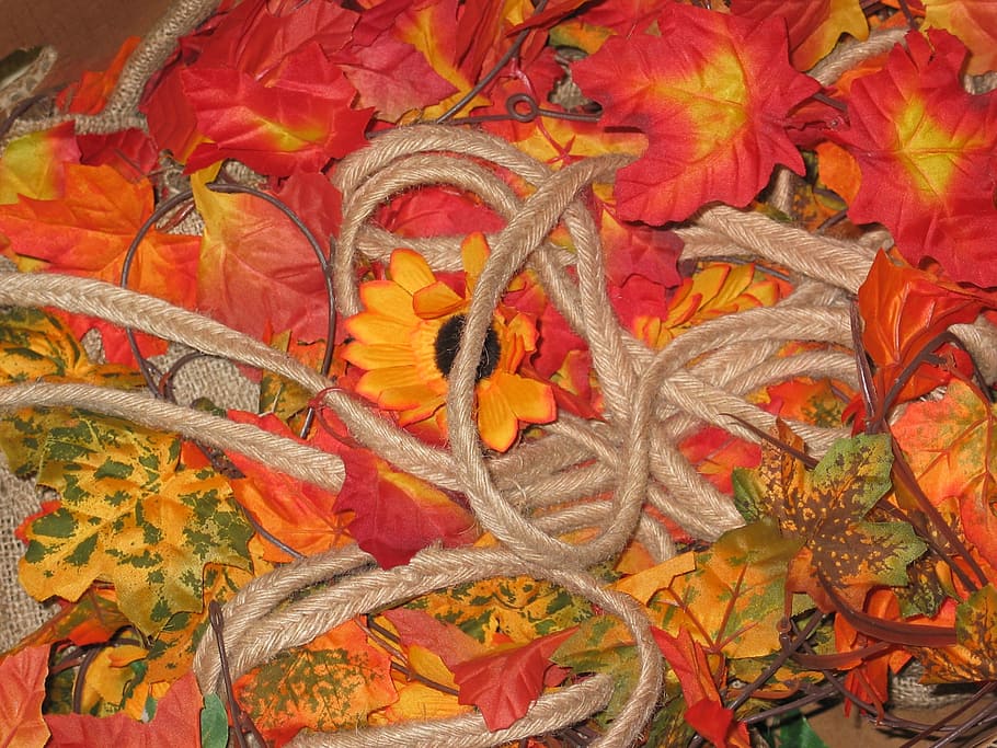 herbstdeko, decoració, artificial, botiga, temporada, tardor, natura morta, decoració de tardor, deco, fulla de tardor, colorit, acció de gràcies, bucle, recollir, decoratiu, taronja, color, flor de sol, corda, embalat, naturalesa, fulles d'auró, fulles, groc, fullatge de tardor, fulles de tardor, finestra, decorar, full, planta, fons, vermell, marc complet, part de la planta, color taronja, cap gent, canvi, vista d’angle alt, multicolor, primer pla, flor, patró, planta amb flors, dia, fragilitat, vulnerabilitat, motiu floral, condició natural, 1080P