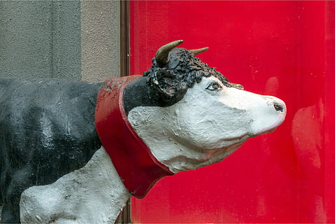 crits, botiga, estàtua, vermell, un animal, gos, temes d'animals, mascotes, hivern, animal, mamífer, funció de construcció de parets, cap gent, dia, primer pla, animals domèstics, representació animal, representació, nacional, caní, a l'aire lliure, creativitat, art i artesania, vertebrats, cap d’animals, 2K, CC0, domini públic, lliure de regalies