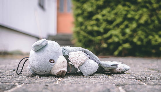 Foto, Bär, Plüsch-, Spielzeug, Pflaster, lügen, Boden, gebrochen, zerrissen, Straße, draussen, Grün, Bokeh, Füllung, ausgestopftes Tier, traurig, Blau, Traurigkeit, Gefühl, Teddybär, Kind, Stadt, Baum, Darstellung, Tierdarstellung, Plüschtier, Tag, keine Leute, Natur, verlassen, Tier, Skulptur, die Architektur, Kunst und Handwerk, selektiver Fokus, Abwesenheit, Nahansicht, Fokus auf den Vordergrund, draußen, Pflanze, 4K, CC0, gemeinfrei, lizenzfrei