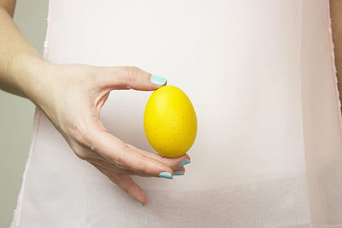 person, holding, brown, egg, easter, spring, holiday, decoration, celebration, color, happy, colorful, season, traditional, yellow, celebrate, fun, joy, tradition, fruit, food, human Hand, citrus Fruit, freshness, human body part, hand, one person, indoors, lemon, adult, women, ball, healthy lifestyle, healthy eating, tennis ball, tennis, wellbeing, human limb, 5K, CC0, public domain, royalty free