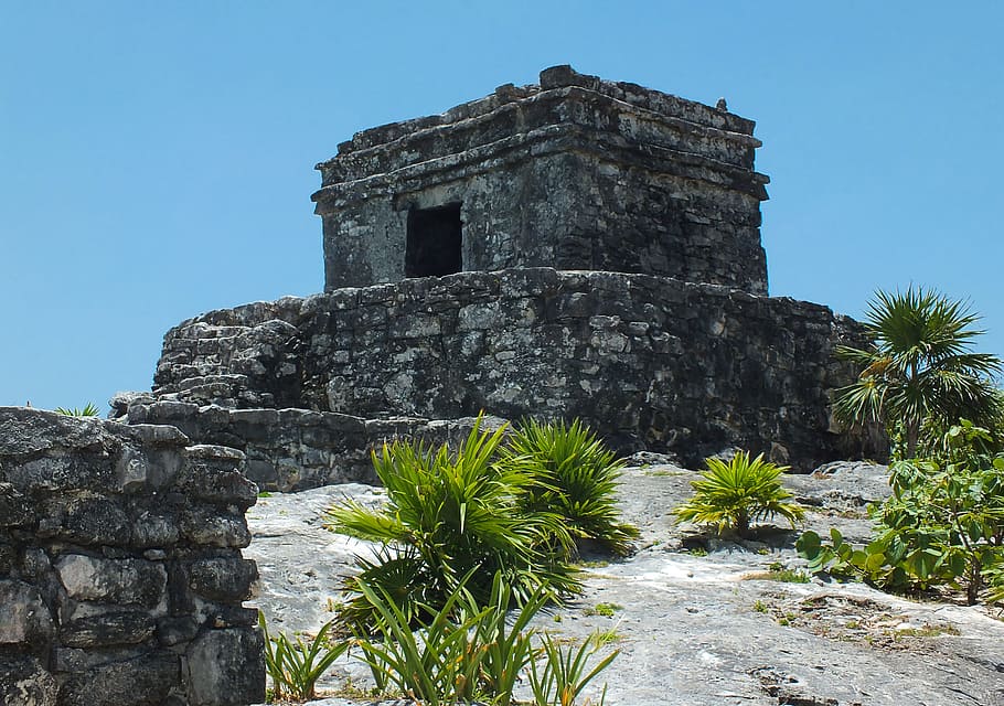 mexicà, tulum, temple, Maya, ruïnes, arquitectura, antic, antiga ruïna, història, vell, material de pedra, lloc famós, cultures, viatjar, llocs de viatges, destinacions de viatge, exterior de l'edifici, estructura construïda, el passat, cel, cel clar, naturalesa, cap gent, sòlid, dia, planta, arbre, a l'aire lliure, civilització antiga, blau, arqueologia, arruïnat, 4K