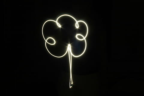 boom, licht, verf, zwart, verlicht, nacht, neon-, zwarte kleur, zwarte achtergrond, gloeiend, geen mensen, communicatie, studio opname, kopie ruimte, licht schilderij, positieve emotie, tekst, licht - natuurverschijnsel, creativiteit, verlichtingsapparatuur, lange blootstelling, beweging, emotie, donker, Oudjaarsavond, helder, bericht, 4K, CC0, publiek domein, royaltyvrij