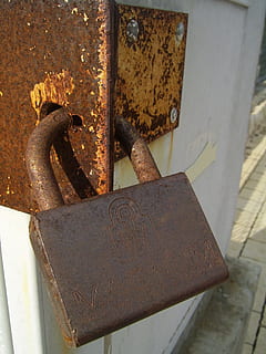 lock, rust, old, prison, security, metal, rusty, steel, door, iron, aged, entrance, locked, doorway, close-up, no people, weathered, day, focus on foreground, padlock, safety, deterioration, protection, decline, abandoned, run-down, outdoors, obsolete, still life, iron - metal, 1080P, CC0, public domain, royalty free