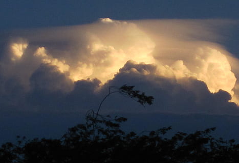 nori, solid, cumulus, voluminos, aprins, luminos, strălucitor, suflare, bătut de vânturi, wispy, cețos, singură sucursală, îndoire, cer, nor - cer, frumusețe în natură, natură, liniște, scenice - natura, apus de soare, o scenă liniștită, siluetă, plantă, copac, vedere unghiulară joasă, nici o persoana, în aer liber, amurg, dramatic cer, acoperit de nori, furtună, idilic, meteorologie, 2K, CC0, domeniu public, fără drepturi de autor