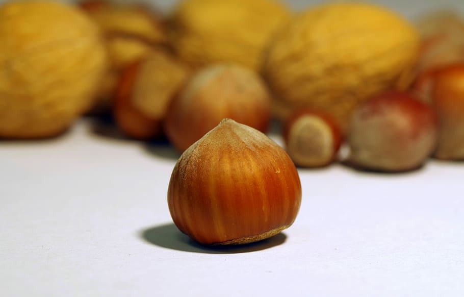 noguera, italià, canya, shell, dur, festiu, dividir, naturalesa, trencar, nutrició, saludable, vitamines, natural, menjar, menjar saludable, fruita, menjar i beguda, primer pla, alimentació saludable, cap gent, frescor, benestar, vegetals, natura morta, a l'interior, enfocament selectiu, centrar-se en primer pla, tir de l'estudi, color taronja, grup d'objectes, orgànic, nou - aliments, taula, nou, madur, berenar, 5K