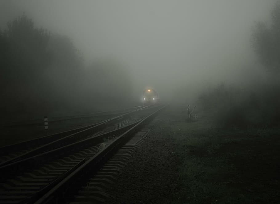 foto, tren, rail, boira, llums, factura, semblant, suau, circuit, vegetació, gris, sortir, transport, empassar, risc, vista general, dolent, fosc, al matí, rosada, trist, fantasma, conduir, llum, sembla, sol, herba, arbre, arbust, vent, smog, contaminació de l'aire, co2, regal, estrany, horripilant, pista, gleise, desolador, humitat, vies del ferrocarril, transport per ferrocarril, temps, el camí a seguir, a l'aire lliure, paisatge, planta, cap gent, naturalesa, manera de transport, direcció, transport públic, punt de fuga, il·luminat, fantasmal, 4K
