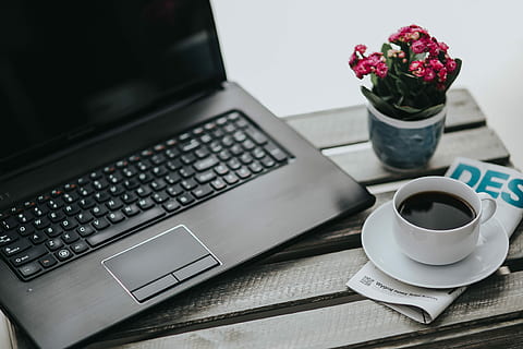 little, pink, flowers, pot, various, items, flora, table, coffee, cute, magazine, plant, blossom, beautiful, laptop, computer, coffee - Drink, business, technology, cup, desk, office, computer Keyboard, internet, wireless technology, indoors, flower, mug, communication, drink, food and drink, coffee cup, connection, refreshment, flowering plant, still life, no people, hot drink, keyboard, crockery, 4K
