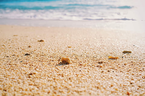 sable gris, gris, le sable, plage, mer, la nature, été, les vacances, littoral, en plein air, personne, Voyage, climat tropical, arrière-plans, eau, lumière du soleil, vague, thèmes animaux, animaux à l'état sauvage, un animal, terre, animal, la faune des animaux, journée, mise au point sélective, beauté dans la nature, Crabe, invertébré, fermer, tranquillité, crustacé, Marin, à la surface, petit, 1080P, CC0, domaine public, libre de droits
