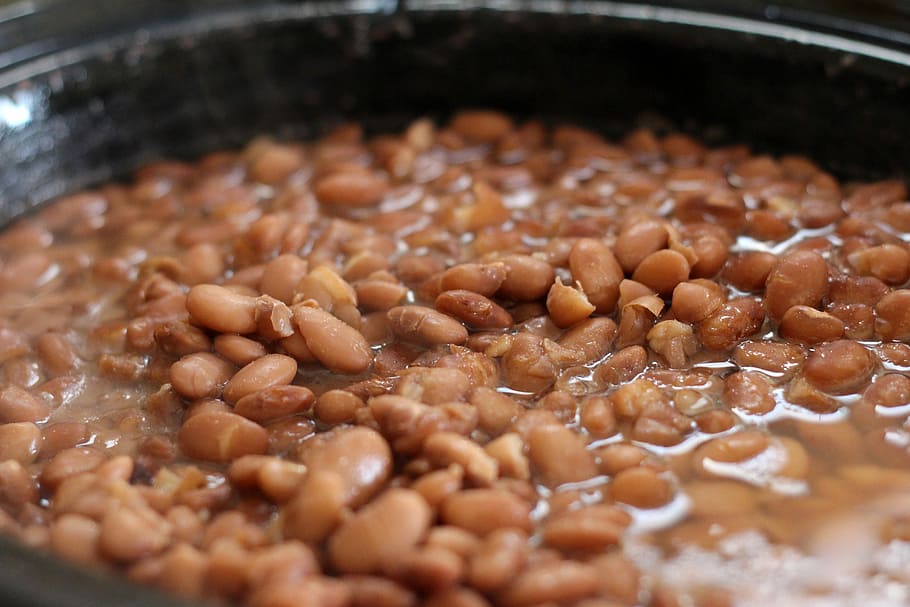 olla, cuit, mongetes, menjar, domini públic, olla de cocció, primer pla, cuinar, menjar i beguda, cap gent, frescor, alimentació saludable, estri de cuina, preparació, a l'interior, equipament per a la llar, benestar, mongeta, enfocament selectiu, natura morta, marró, preparar el menjar, carn, pan, vista d’angle alt, temptació, 5K