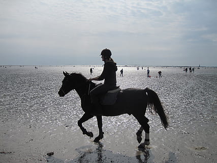 spiaggia, Reiter, atlantico, cavallo, equitazione, animali domestici, una persona, velocità, domestico, acqua, mammifero, terra, cielo, persone reali, animale, temi animali, stili di vita, mare, attività di svago, bestiame, un animale, vertebrato, all'aperto, orizzonte sull'acqua, 4K, CC0, dominio pubblico, privo di copyright