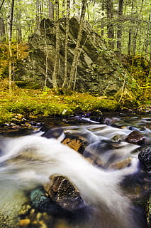 verde, árvore, natureza, folha, Primavera, ramo, outono, floresta, panorama, relva, madeira, raízes, árvore velha, alta qualidade, folhagem, agua, Exposição longa, movimento borrado, beleza na natureza, Rocha, movimento, água corrente, scenics - natureza, sólido, plantar, rock - objeto, terra, fluindo, dia, rio, ninguém, córrego - água corrente, ao ar livre, poder na natureza, queda d'água, 5K, CC0, domínio público, royalty free