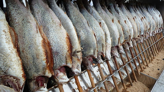 Ryba, treska, uzený, steckerlfisch, jídlo, svěžest, obratlovců, jídlo a pití, zvíře, na prodej, plody moře, nikdo, maloobchodní, Zdravé stravování, v řadě, velká skupina objektů, blahobyt, vysoký úhel pohledu, stálý život, opakování, syrové potraviny, trh, objednat, rybí trh, odvětví rybolovu, připravování jídla, 4K, CC0, veřejná doména, bez autorských práv