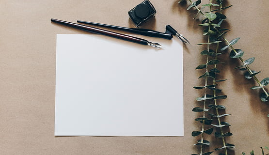 bianca, carta per stampante, accanto, penne, penna, vuoto, foglio di carta, viti, calligrafia, nero, Scrivi, lettera, Nota, pennino, inchiostro, carta, creare, Stazionario, flatlay, distesa piatta, mestiere, in casa, direttamente sopra, strumento di scrittura, copia spazio, nessuno, vista dall'alto, tavolo, spirale, bloc notes, natura morta, girato in studio, matita, legno - materiale, creatività, ufficio, sfondo colorato, quaderno a spirale, libro, penna stilografica, 2K, CC0, dominio pubblico, privo di copyright
