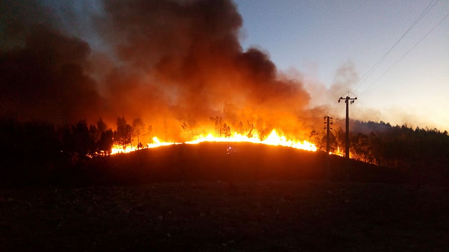 foto di paesaggio, ardente, foresta, fuoco, tramonto, cavo, polo, Fumo, fiamma, silhouette, paesaggio, orizzonte, fuoco - fenomeno naturale, fumo - struttura fisica, segnale di pericolo, cartello, distruzione, calore - temperatura, incidenti e disastri, ambiente, danno ambientale, natura, incendio forestale, problemi ambientali, comunicazione, inquinamento, disastro naturale, terra, nessuno, inferno, inquinamento dell'aria, buio, all'aperto, vapore, velenoso, 4K