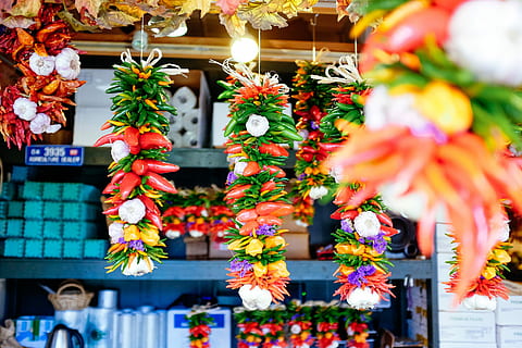 tancar, Foto Xile, penjant, decoracions, primer pla, foto, Xile, flor, botiga, carrer, variació, venda al detall, elecció, mercat, planta, planta amb flors, a la venda, Paradeta, multicolor, cap gent, negoci petit, abundància, visualització al detall, negocis, decoració, col · lecció, enfocament selectiu, gran grup d'objectes, a l'aire lliure, venda, consumisme, arranjament floral, 4K
