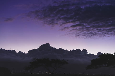 måne, hvid, cumulus skyer, silhuet, skyer, grå, himmel, Sky, lilla, gradient, jungle, træ, stor sky, stormfuld, storm, hawaii himlen, nat, maui, hawaii, skønhed i naturen, plante, ro, scenics - natur, rolig scene, ingen mennesker, natur, idyllisk, miljø, landskab, udendørs, vækst, jord, plads, 5K, CC0, offentligt domæne, royaltyfrie