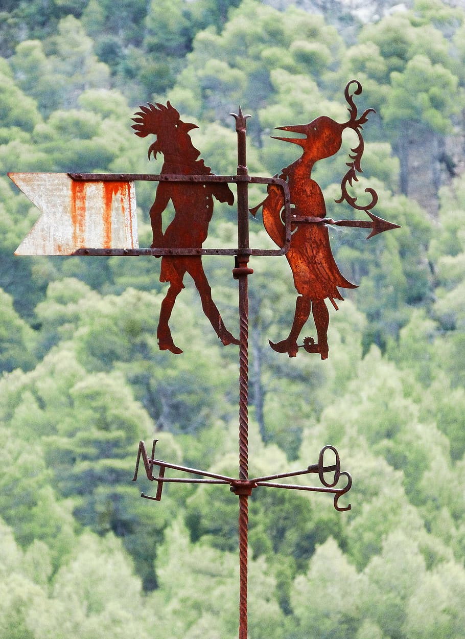 veleta, vents, òxid, punts cardinals, artístic, representació, cap gent, art i artesania, dia, naturalesa, centrar-se en primer pla, penjant, arbre, creativitat, cel, a l'aire lliure, planta, arquitectura, representació humana, estructura construïda, mamífer, núvol - cel, 4K