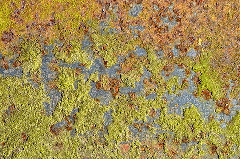 close, photography, green, paste, texture, pattern, abstract, background, metal, rust, oxidation, oxide, oxidized, no people, full frame, day, backgrounds, plant, nature, green color, growth, outdoors, moss, yellow, high angle view, close-up, lichen, textured, wall - building feature, land, field, beauty in nature, 4K, CC0, public domain, royalty free