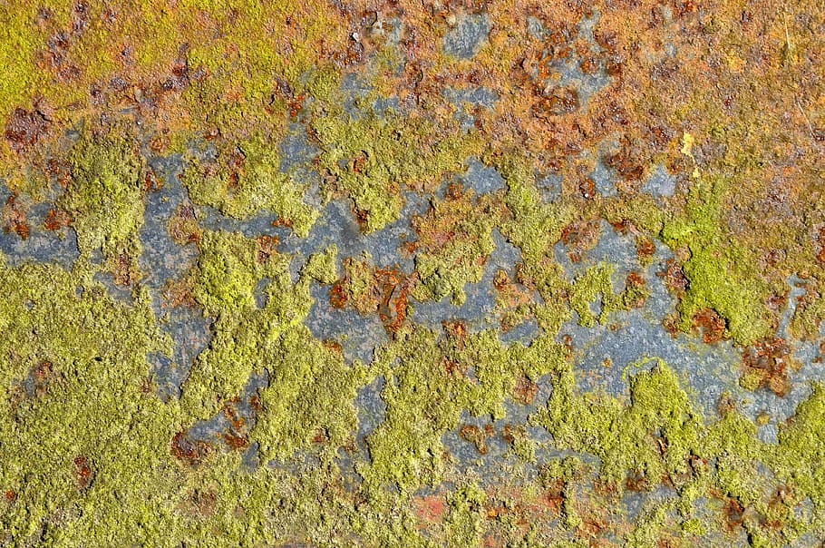 tancar, fotografia, verd, enganxar, textura, patró, resum, fons, metall, òxid, oxidació, oxidat, cap gent, marc complet, dia, planta, naturalesa, color verd, creixement, a l'aire lliure, molsa, groc, vista d’angle alt, primer pla, liquen, funció de construcció de parets, terra, camp, bellesa a la natura, 4K