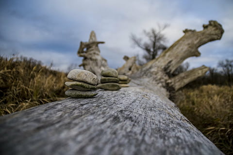 ISAR, дерево, небо, облака, природа, туризм, романтик, настроение, атмосфера, солнце, синий, бавария, белый, Германия, свет, пейзаж, желтый, morgenstimmung, заход солнца, идиллический, lichtspiel, остальное, тихо, берег, Восход, утро, высокая температура, камни, фон, плакат, успокаивающий, вечер, abendstimmung, в начале, новое начало, горизонт, Фриш, прощальный привет, твердый, камень, выборочный фокус, нет людей, дерево - материал, облако - небо, завод, стек, день, камень - объект, остаток средств, рок - объект, земельные участки, крупный план, на открытом воздухе, галька, уровень поверхности, 5K, CC0, общественное достояние, роялти бесплатно