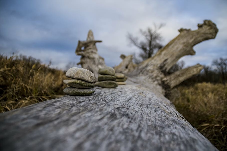 isar, arbre, cel, núvols, naturalesa, turisme, romàntic, humor, atmosfera, sol, blau, baviera, blanc, Alemanya, llum, paisatge, groc, morgenstimmung, posta de sol, idíl·lic, lichtspiel, descans, tranquil, Costa, sortida del sol, al matí, calor, pedres, fons, pòster, calmant, tarda, abendstimmung, al principi, nou començament, horitzó, cels, frisch, comiat, sòlid, rock, enfocament selectiu, cap gent, material de fusta, núvol - cel, planta, pila, dia, pedra - objecte, equilibri, rock - object, terra, primer pla, a l'aire lliure, fusta, pedra, còdols, nivell superficial, 5K