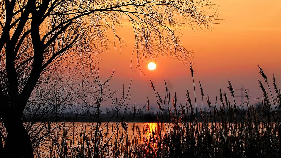 guld timers fotografering, sol, solnedgang, efterglød, landskab, træ, buske, silhuet, Abendstimmung, aftenhimmel, natur, afspejling, sø, skumring, orange farve, vand, himmel, skønhed i naturen, plante, ro, scenics - natur, rolig scene, ingen mennesker, ikke-urbane scene, idyllisk, bare træ, udendørs, romantisk himmel, 4K