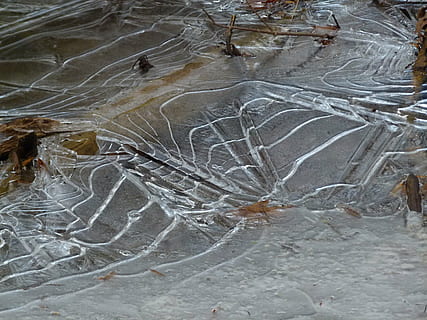 hielo, invierno, corriente, agua, frío, escarcha, congelado, ze, glacial, nadie, vista de alto ángulo, naturaleza, día, tierra, al aire libre, mar, animal, ambiente, temas de animales, fauna animal, animales en la naturaleza, de cerca, vertebrado, rock, sólido, belleza en la naturaleza, árbol, 4K, CC0, dominio público, libre de derechos