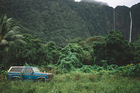 niebieski, klasyczny, samochód, drzewa, spadek wody, dzień, ford bronco suv, wodospady, wodospad, las, drzewo, suv, Stary samochód, Zielony, samochód ciężarowy, off-roading, Palma, trawa, podróżować, poza drogą, pojazd, dżungla, roślina, wzrost, zielony kolor, Góra, pojazd lądowy, środek transportu, wylądować, Natura, transport, piękno natury, scenics - natura, bujne liście, listowie, scena pozamiejska, żadnych ludzi, spokojna scena, spokój, na dworze, 5K, CC0, domena publiczna, darmowe zdjęcia
