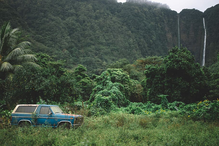 blå, klassisk, bil, træer, vandfald, dagtimerne, ford bronco suv, Skov, træ, sUV, gammel bil, grøn, lastbil, off-road, håndflade, græs, rejse, køretøj, jungle, plante, vækst, grøn farve, bjerg, land køretøj, transportform, jord, natur, transportmidler, dag, skønhed i naturen, scenics - natur, frodig løv, løv, ikke-urbane scene, ingen mennesker, rolig scene, ro, udendørs, 5K
