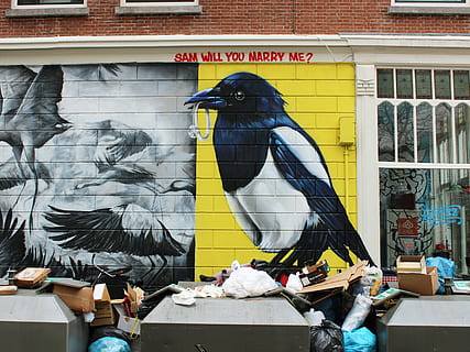 nero, bianca, muro di graffiti di uccelli, circondato, spazzatura, pittura murale di uccelli, urbano, storie, uccello, immagine a colori, giorno, artista, esterno dell'edificio, struttura costruita, solo adulti, evento artistico, vertebrato, architettura, fauna selvatica, persone, animali allo stato selvatico, parete, gruppo di animali, persone reali, all'aperto, rappresentazione, testo, rappresentazione umana, arte e artigianato, 4K, CC0, dominio pubblico, privo di copyright